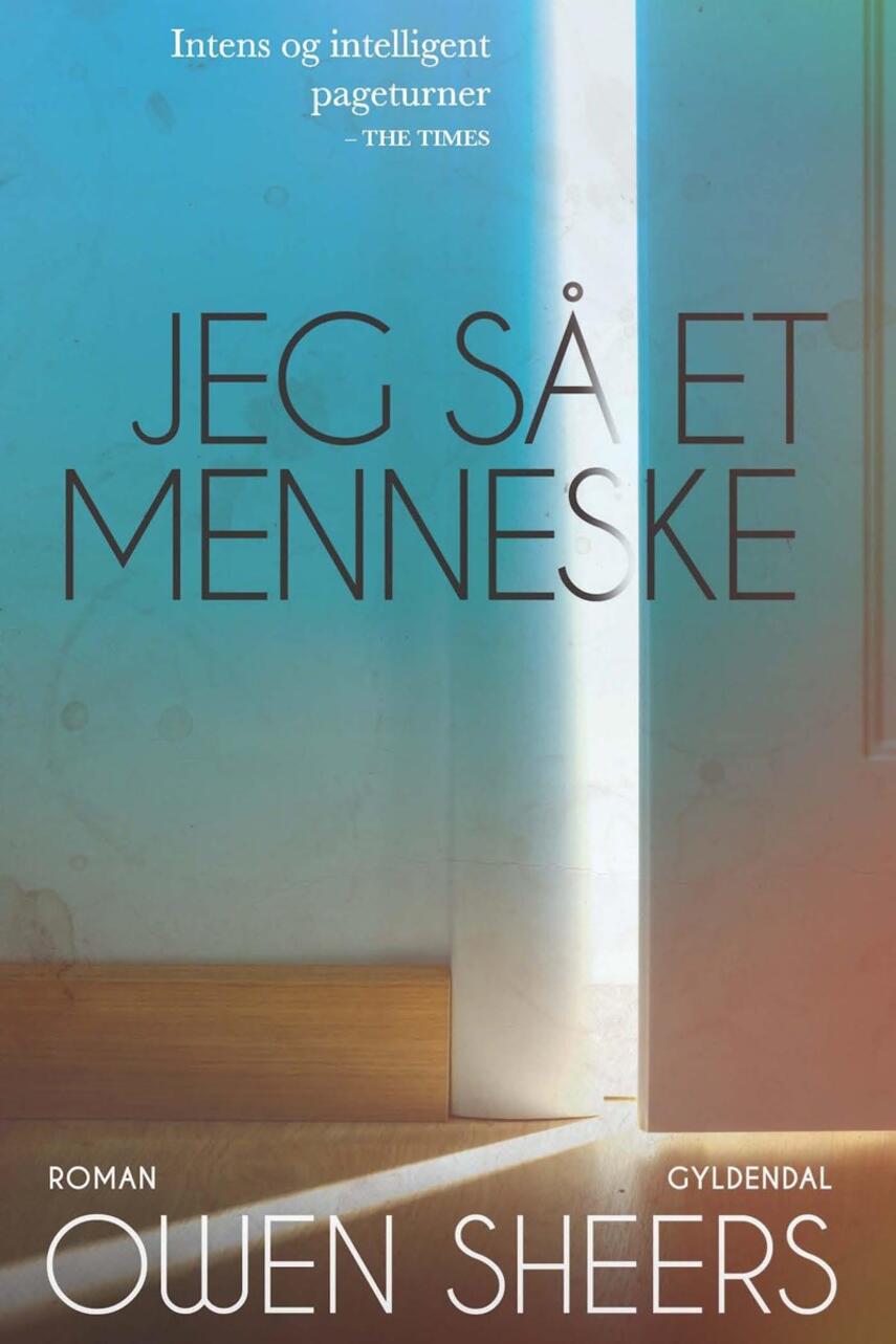 Owen Sheers (f. 1974): Jeg så et menneske : roman
