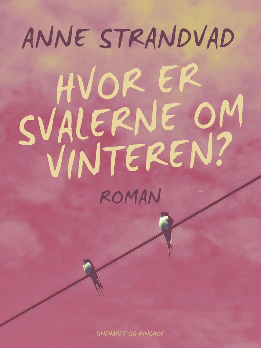 Anne Strandvad: Hvor er svalerne om vinteren? : roman