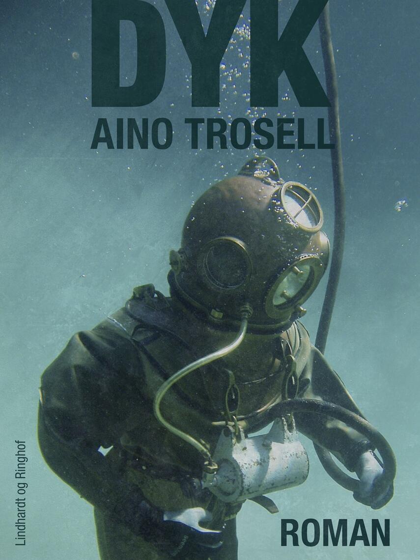 Aino Trosell: Dyk : roman