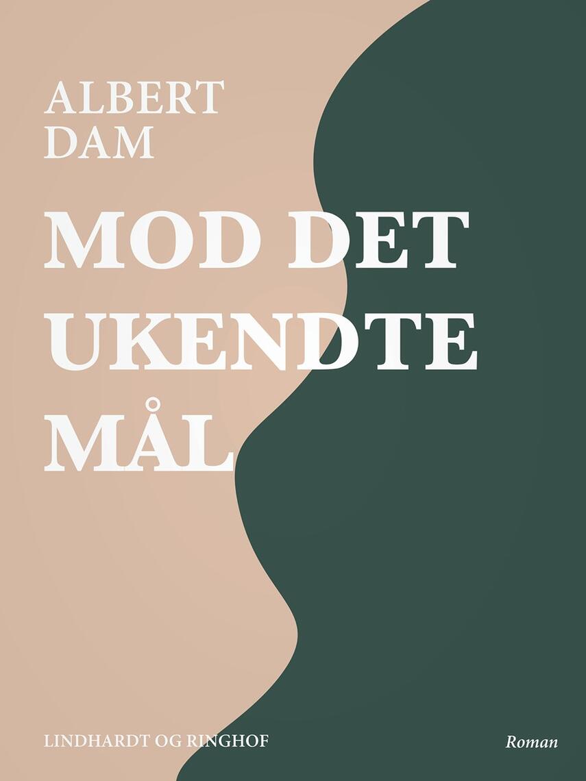 Albert Dam: Mod det ukendte mål : roman