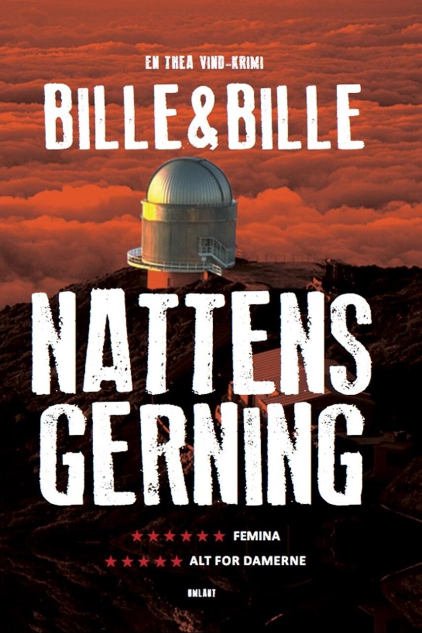 Lisbeth A. Bille, Steen Bille: Nattens gerning