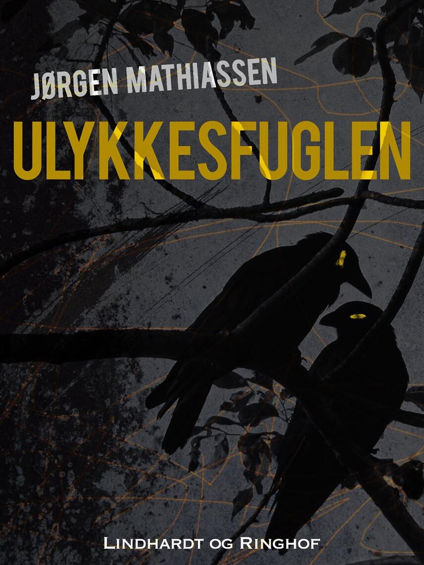 Jørgen Mathiassen: Ulykkesfuglen