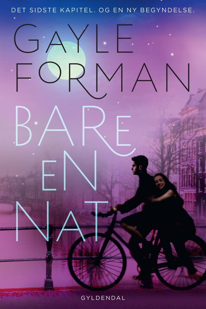 Gayle Forman: Bare en nat