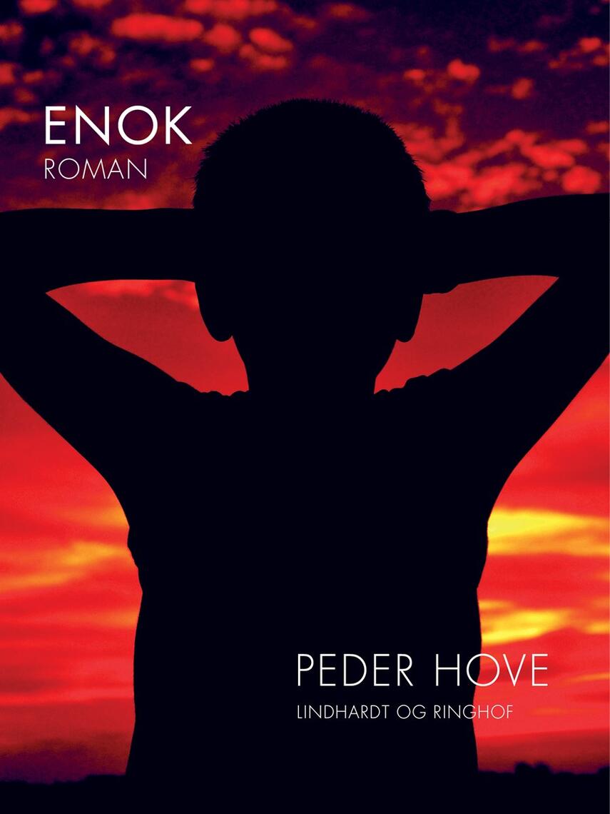 Peder Hove: Enok : roman