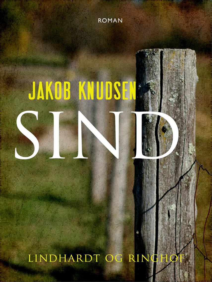 Jakob Knudsen (f. 1858): Sind : roman (Ved Richardt Gandrup)