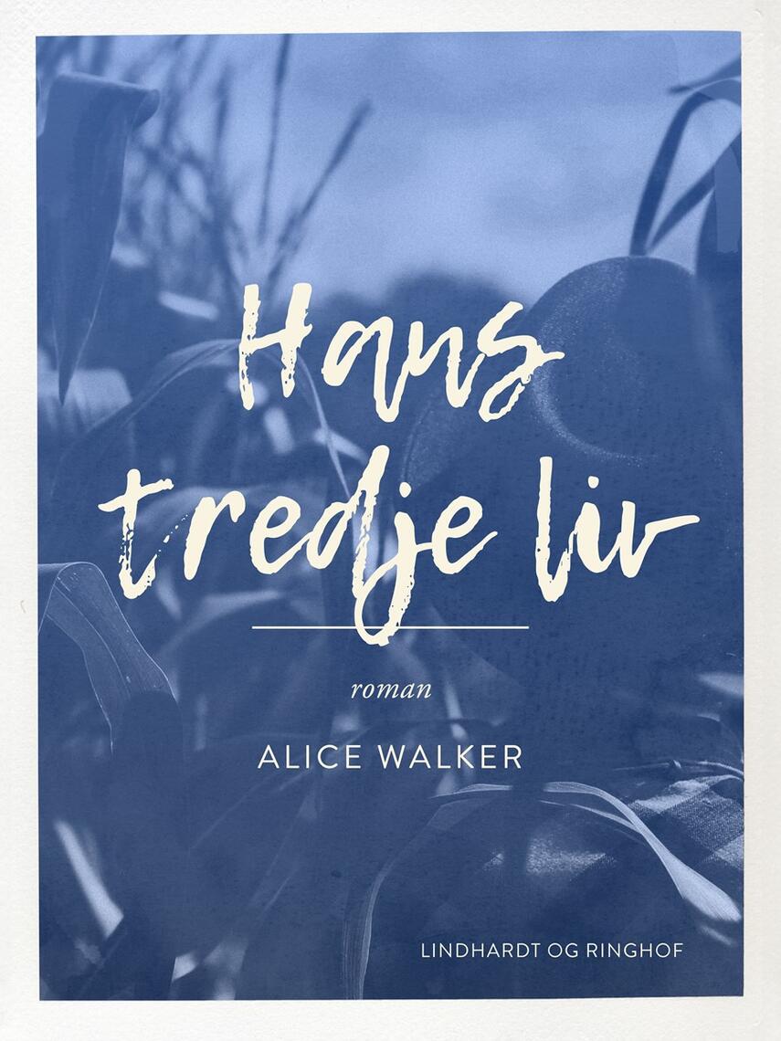 Alice Walker: Hans tredje liv : roman