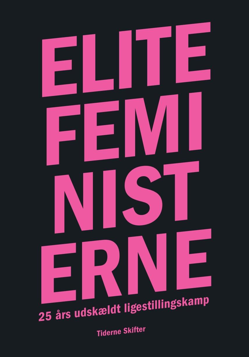 : Elitefeministerne : 25 års udskældt ligestillingskamp