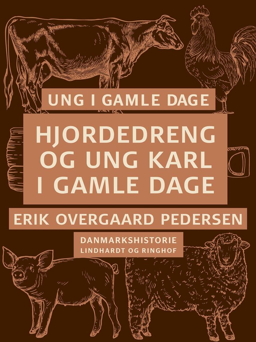 Erik Overgaard Pedersen: Ung i gamle dage : Danmarkshistorie. 3, Hjordedreng og ung karl i gamle dage