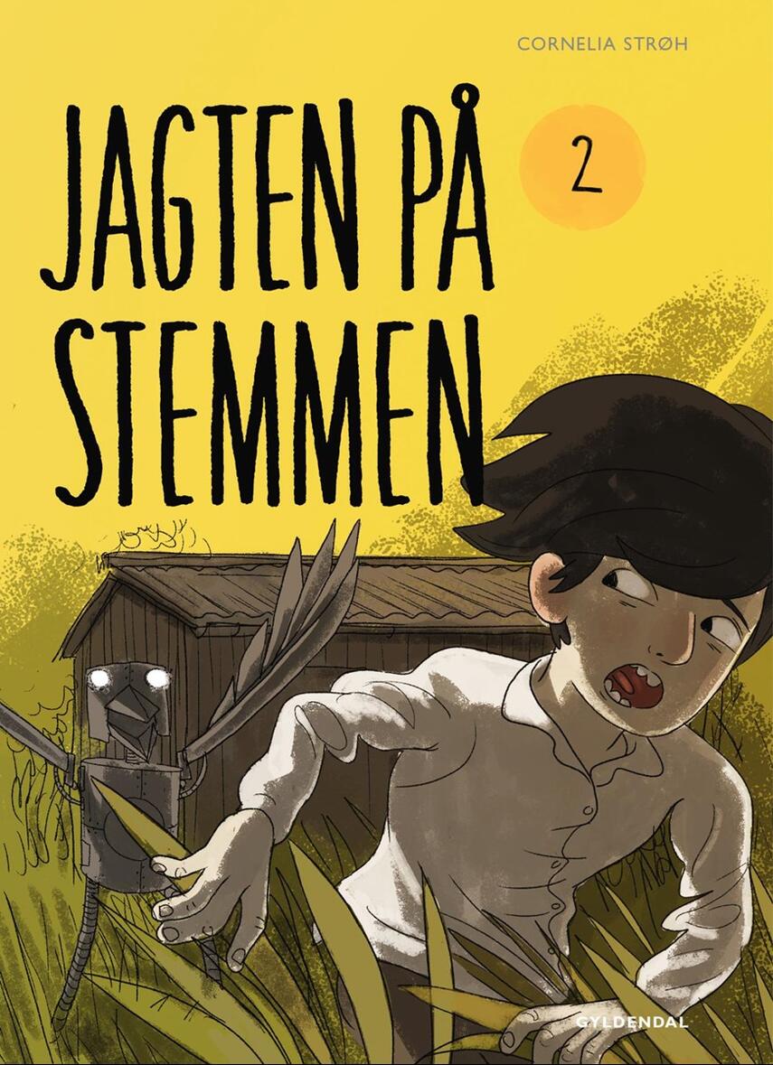 Cornelia Strøh: Jagten på stemmen. 2