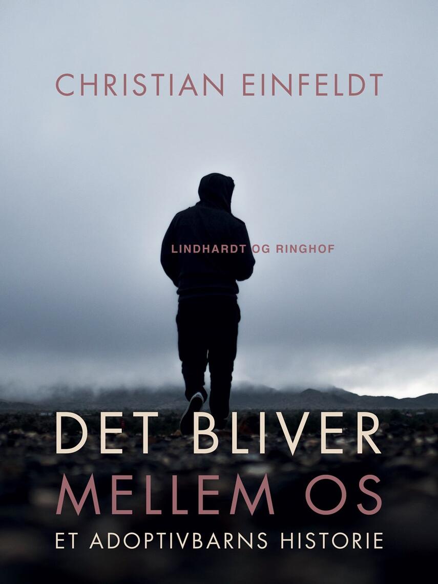 Christian Einfeldt: Det bliver mellem os : et adoptivbarns historie