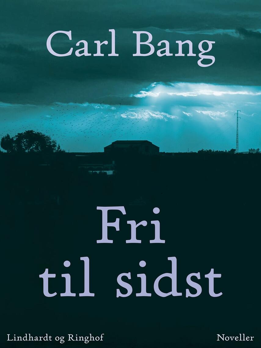 Carl Bang: Fri til sidst : noveller