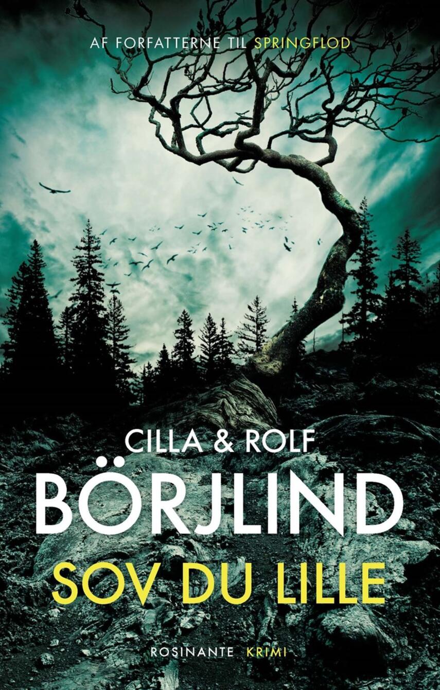 Cilla Börjlind, Rolf Börjlind: Sov du lille