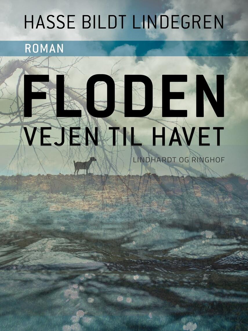 Hasse Bildt Lindegren: Floden - vejen til havet : roman