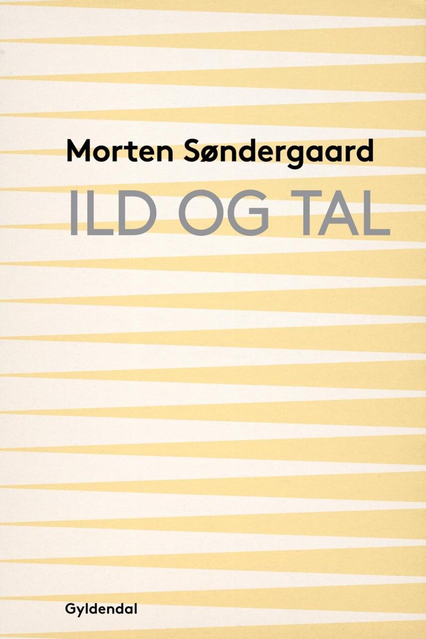 Morten Søndergaard (f. 1964): Ild og tal