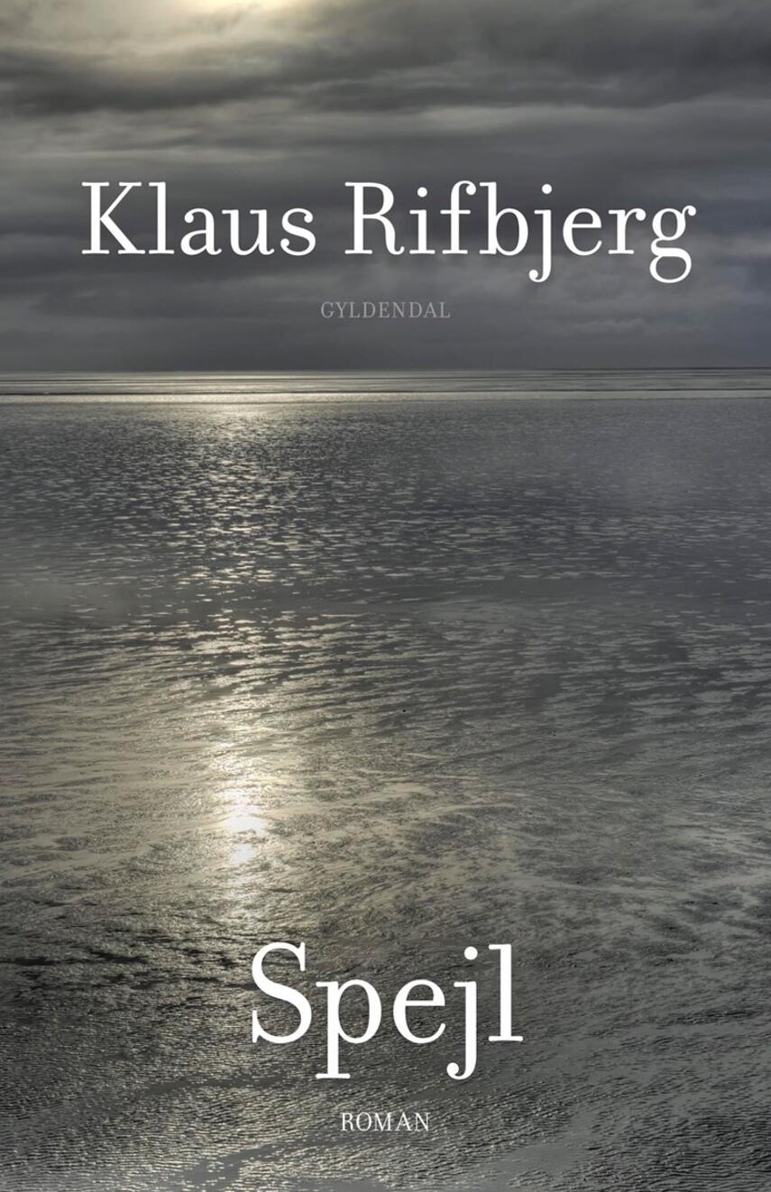 Klaus Rifbjerg: Spejl : roman