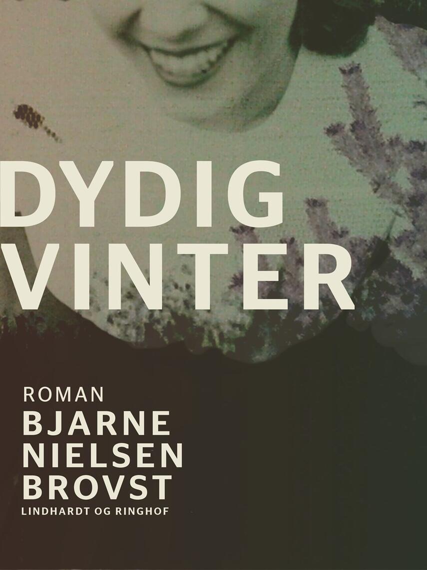 Bjarne Nielsen Brovst: Dydig vinter : roman