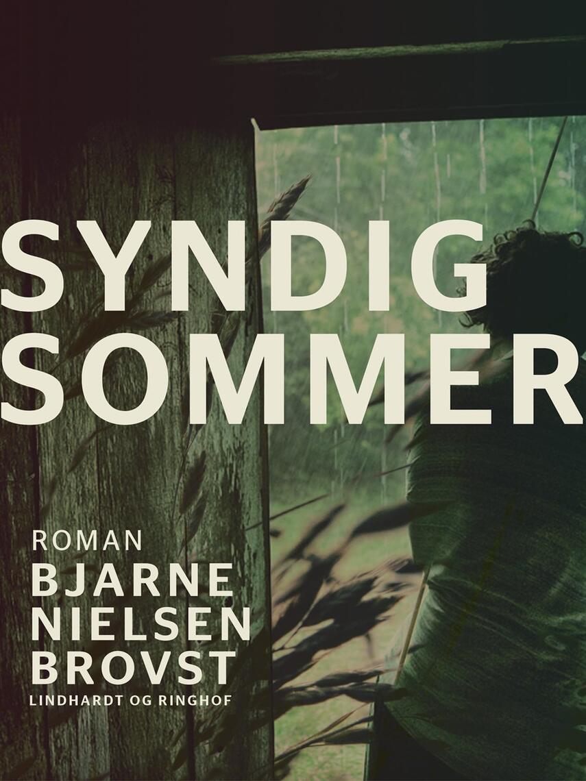 Bjarne Nielsen Brovst: Syndig sommer : roman