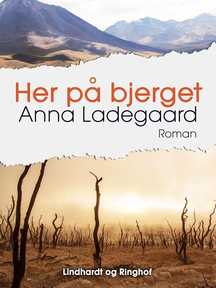 Anna Ladegaard: Her på bjerget : roman