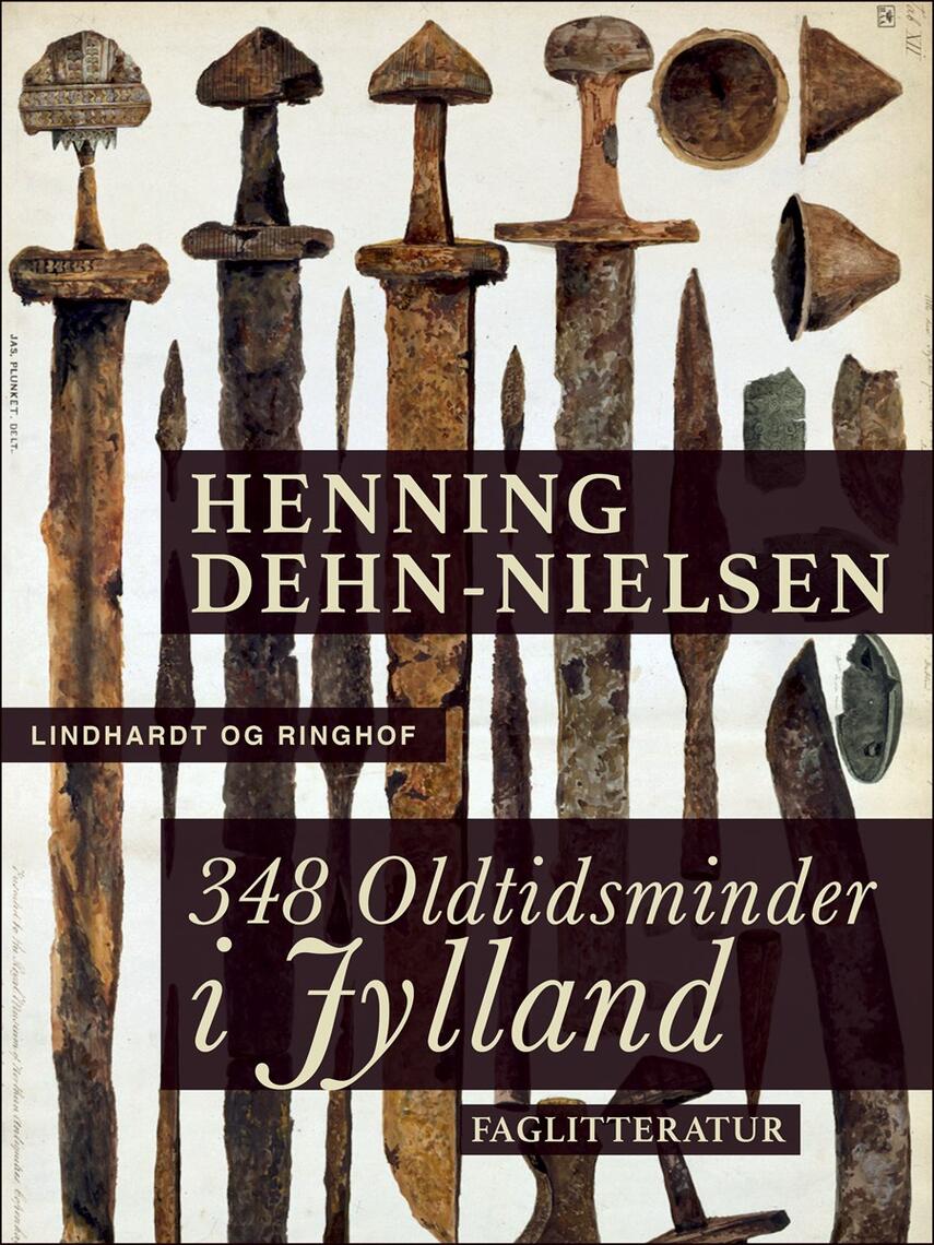 Henning Dehn-Nielsen: 348 oldtidsminder i Jylland
