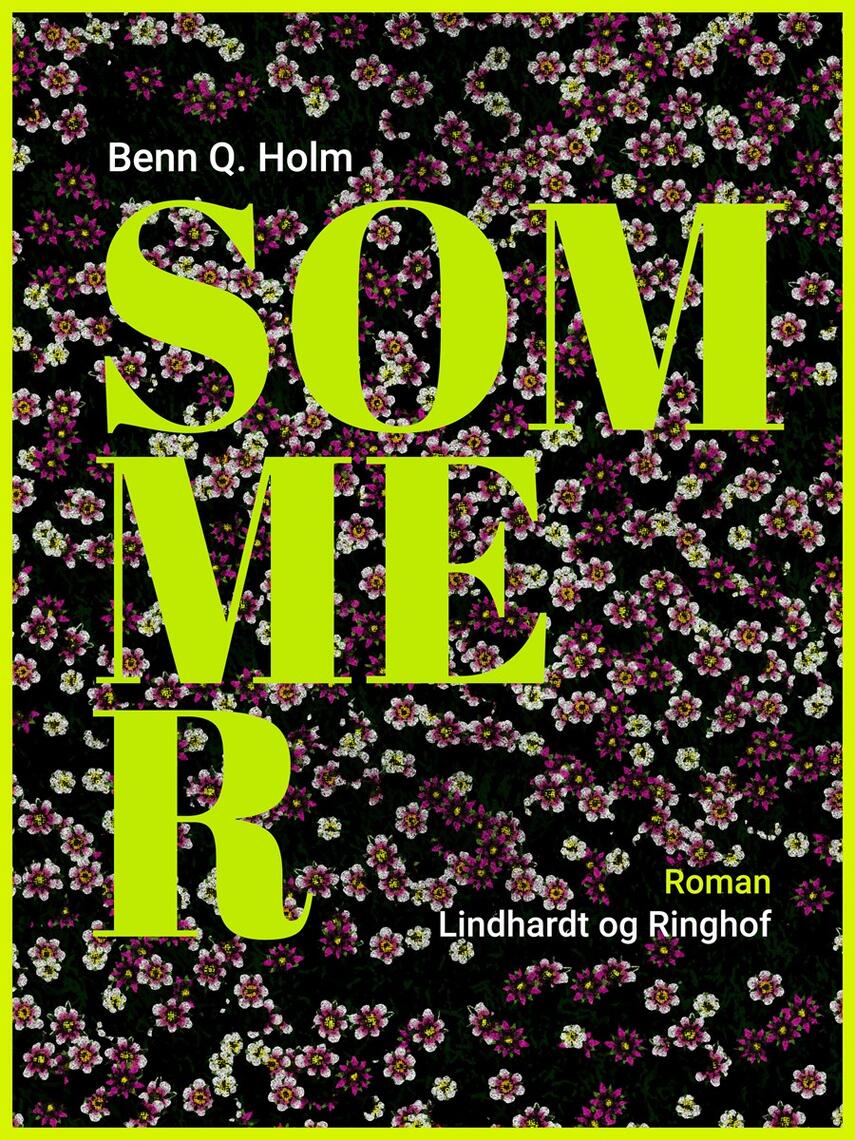Benn Q. Holm (f. 1962): Sommer : roman