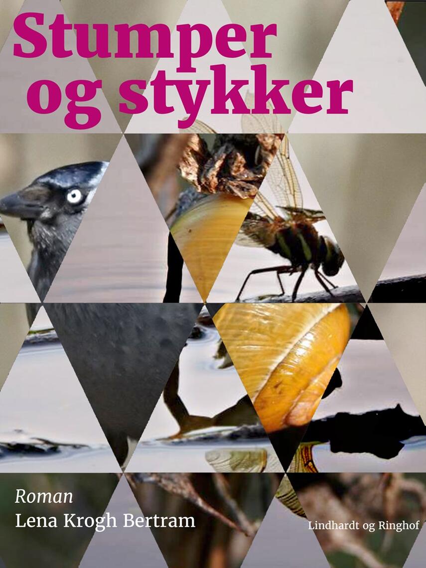 Lena Krogh Bertram: Stumper og stykker : roman