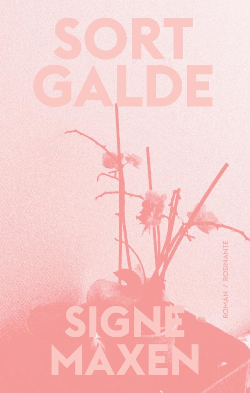 Signe Maxen: Sort galde : roman