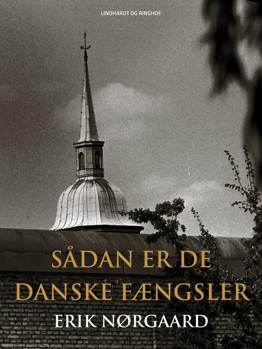 Erik Nørgaard (f. 1929): Sådan er de danske fængsler