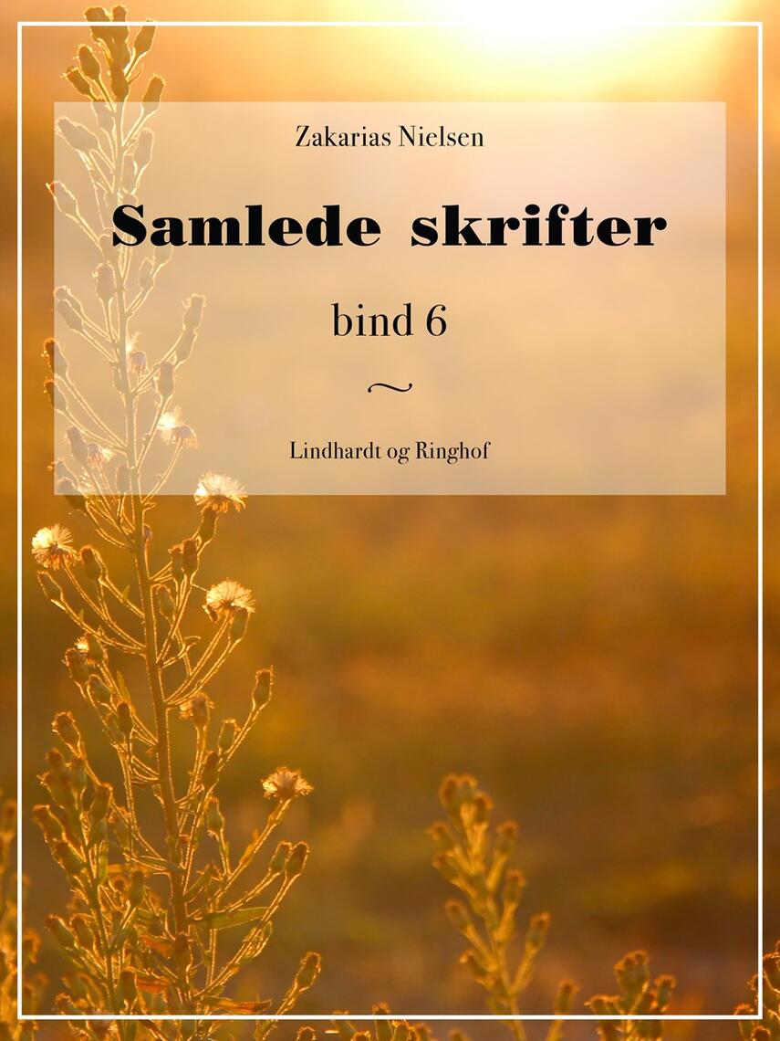 Zakarias Nielsen (f. 1844): Samlede Skrifter. Bind 6, Mindre Fortællinger og Skildringer II