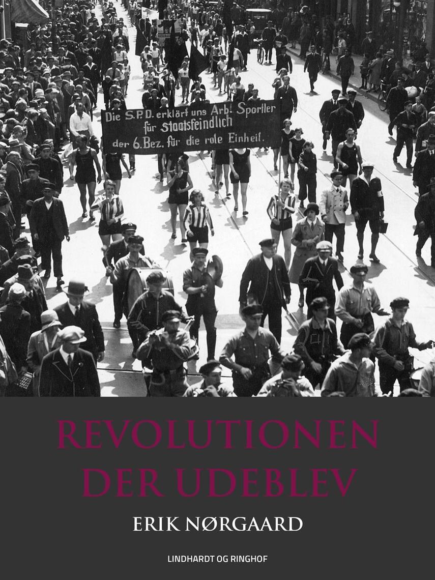 Erik Nørgaard (f. 1929): Revolutionen der udeblev