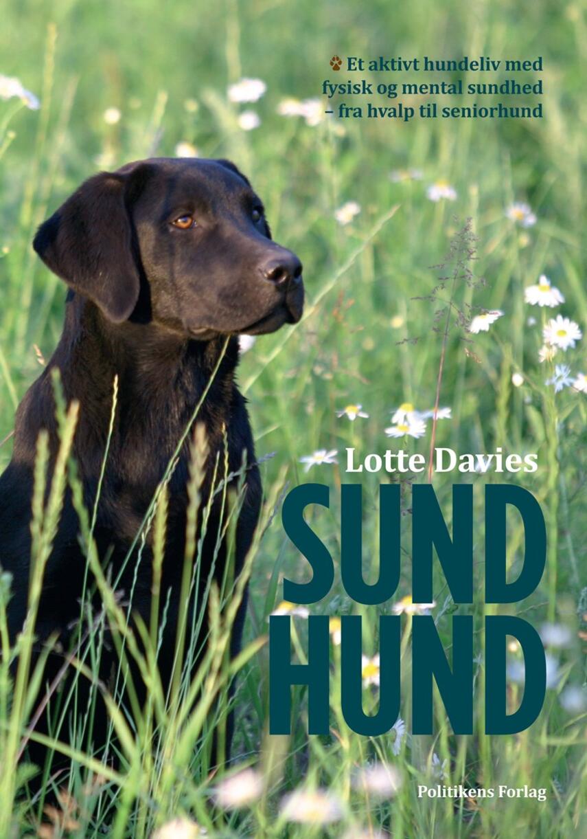 Lotte Davies: Sund hund