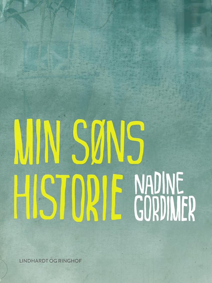 Nadine Gordimer: Min søns historie