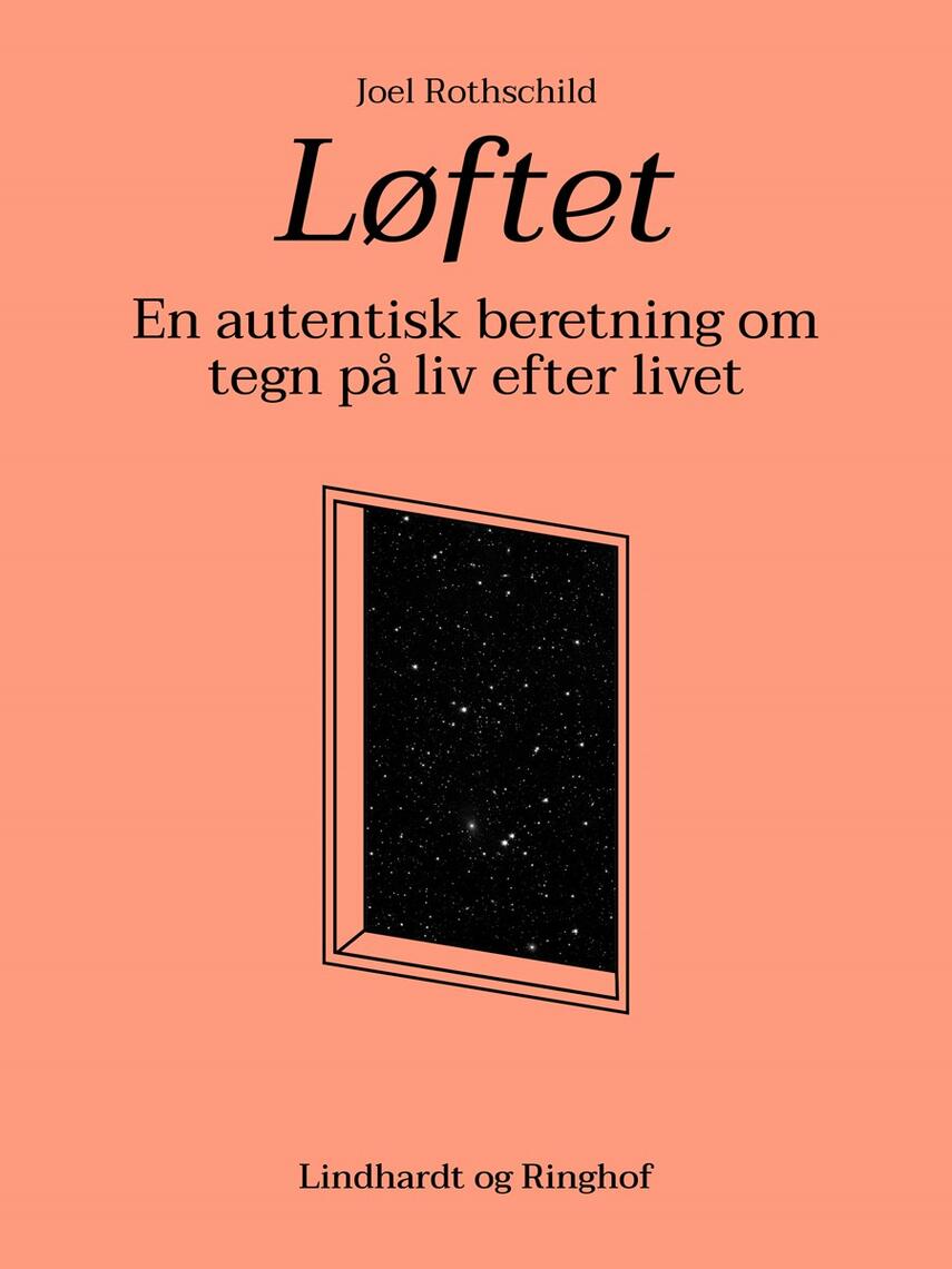 Joel Rothschild: Løftet : en autentisk beretning om tegn på liv efter livet