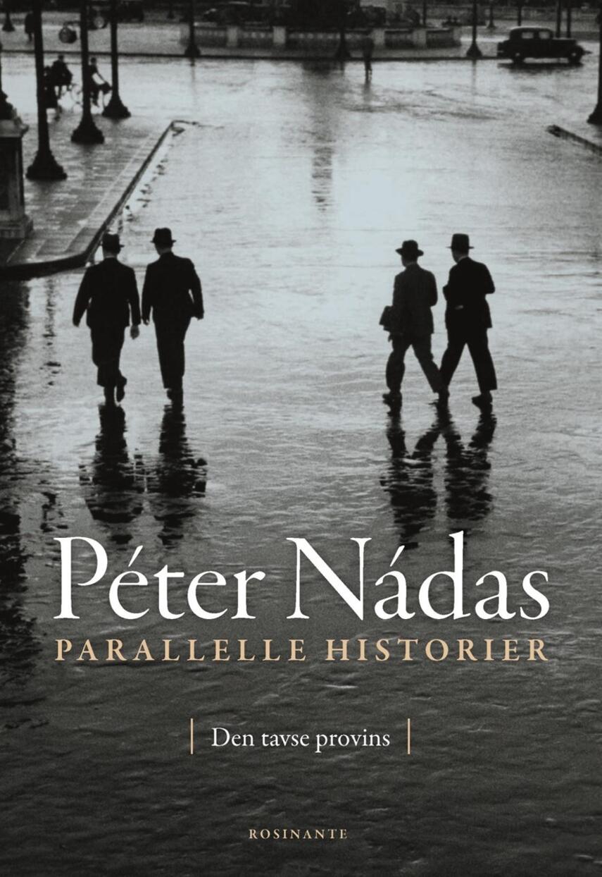 Péter Nádas: Parallelle historier. Bind 1, Den tavse provins