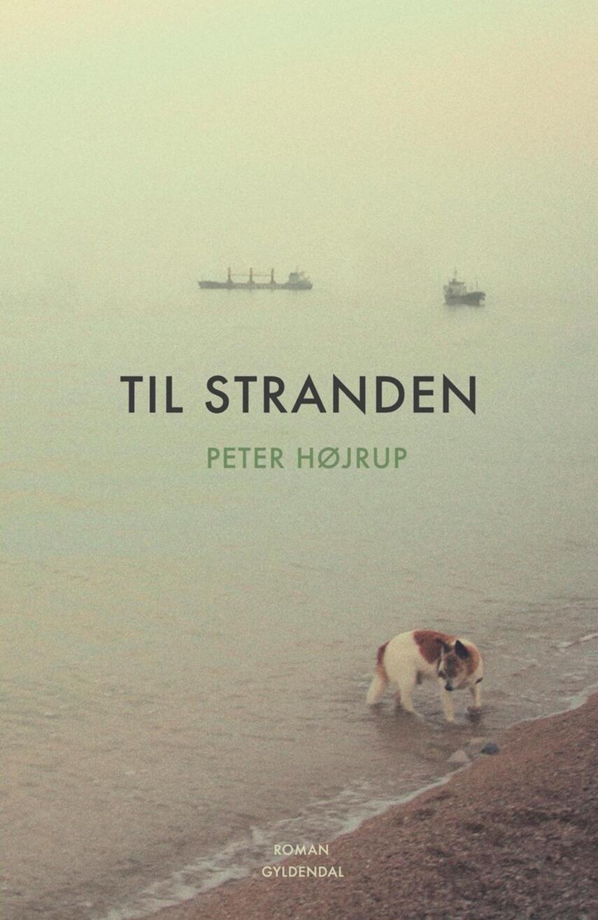 Peter Højrup: Til stranden : roman