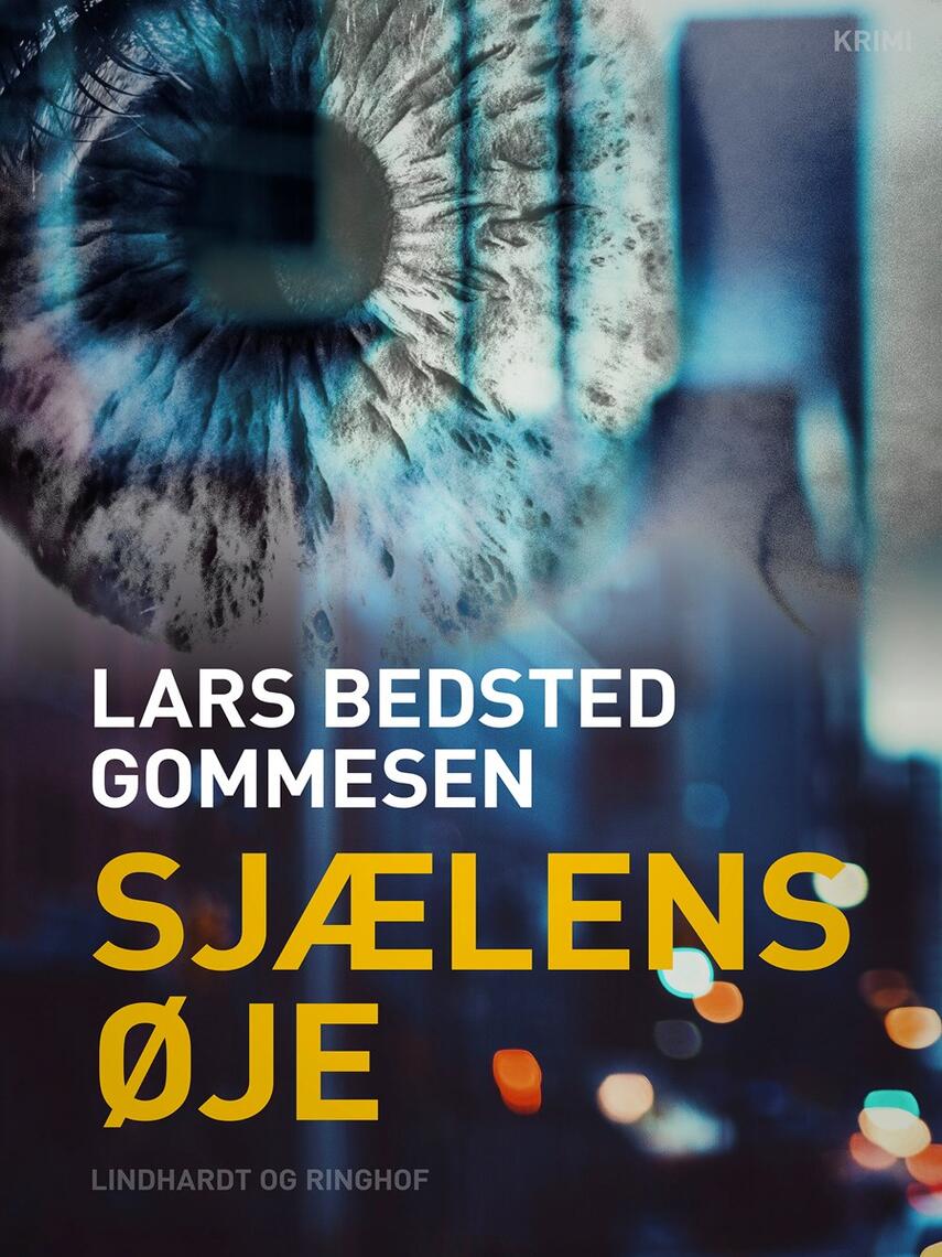 Lars Bedsted Gommesen: Sjælens øje