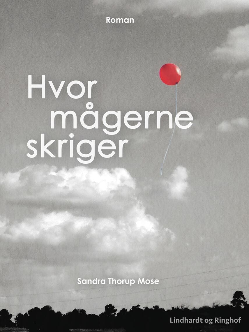 Sandra Thorup Mose (f. 1989): Hvor mågerne skriger : roman