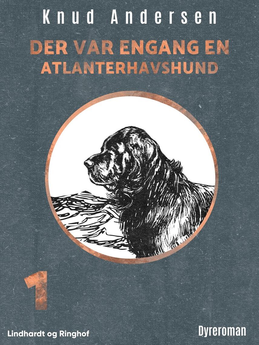 Knud Andersen (f. 1890): Der var engang en atlanterhavshund
