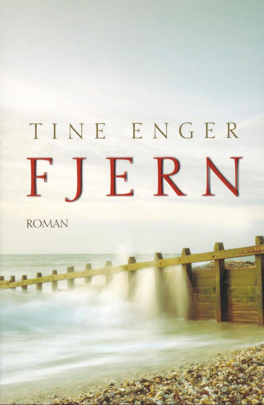 Tine Enger: Fjern : roman