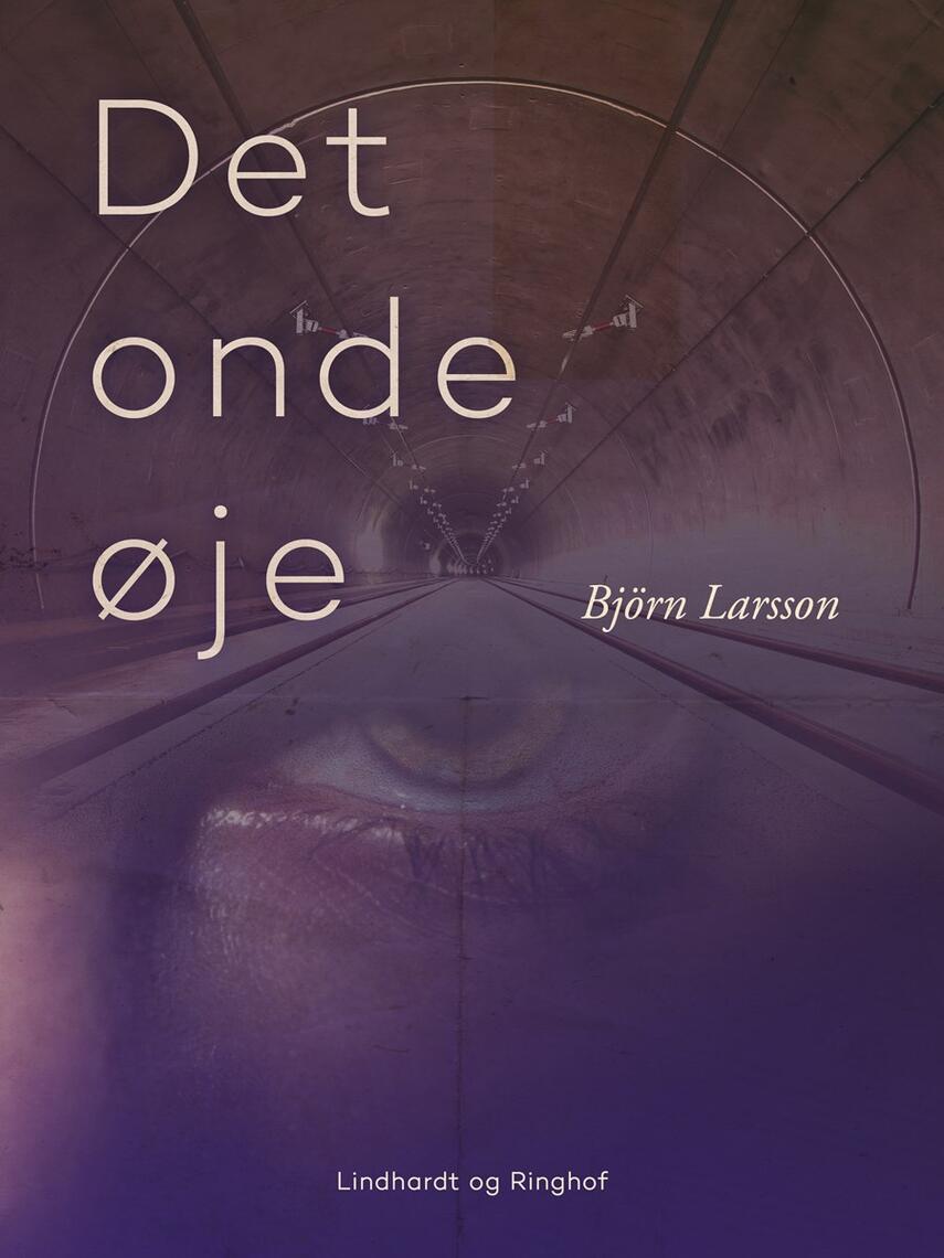 Björn Larsson: Det onde øje : roman