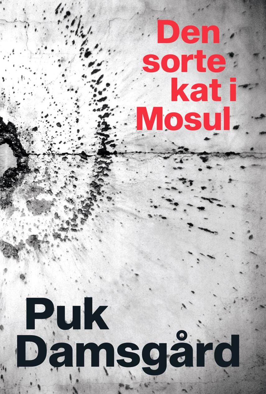 Puk Damsgård Andersen: Den sorte kat i Mosul