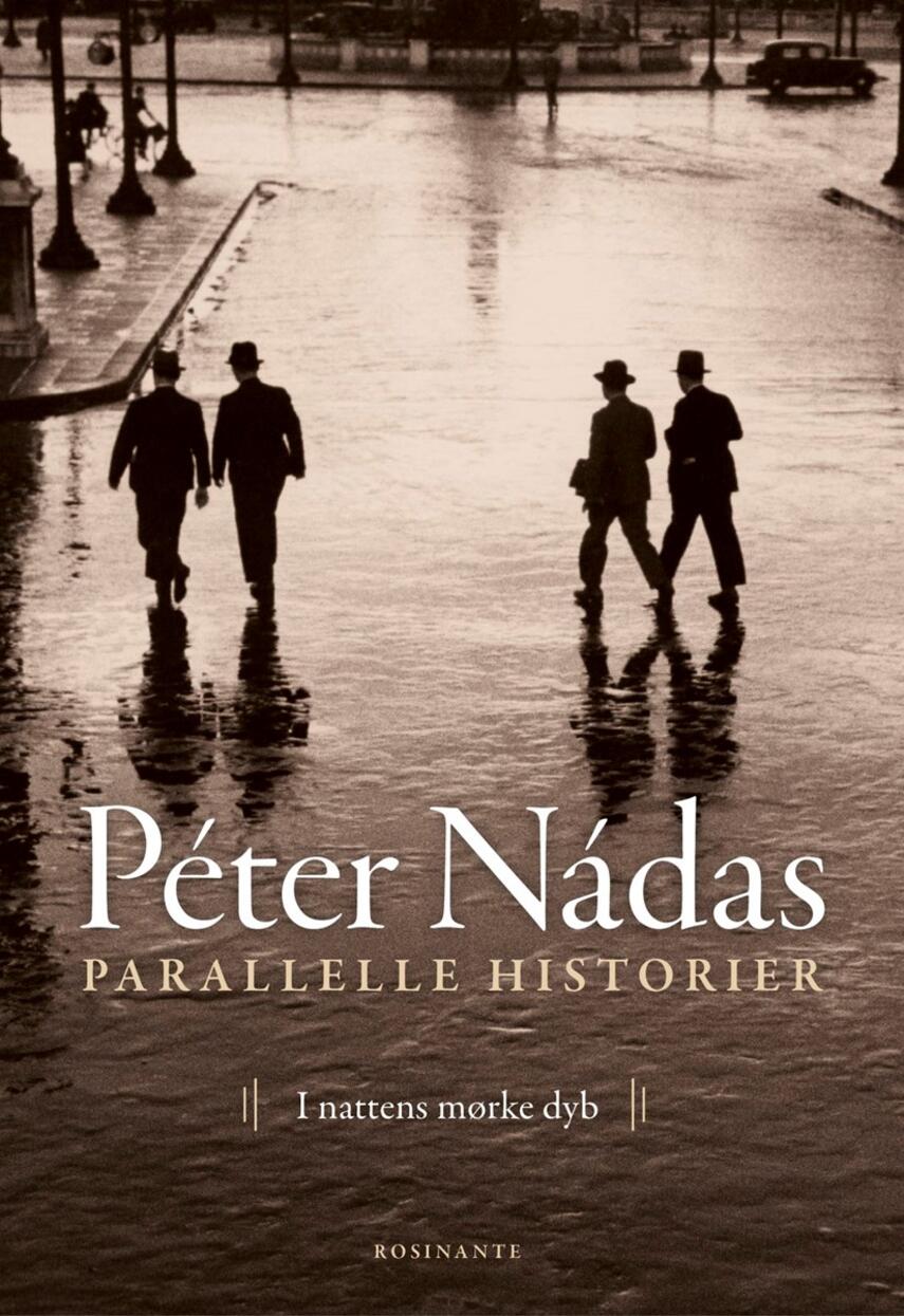 Péter Nádas: Parallelle historier. Bind 2, I nattens mørke dyb