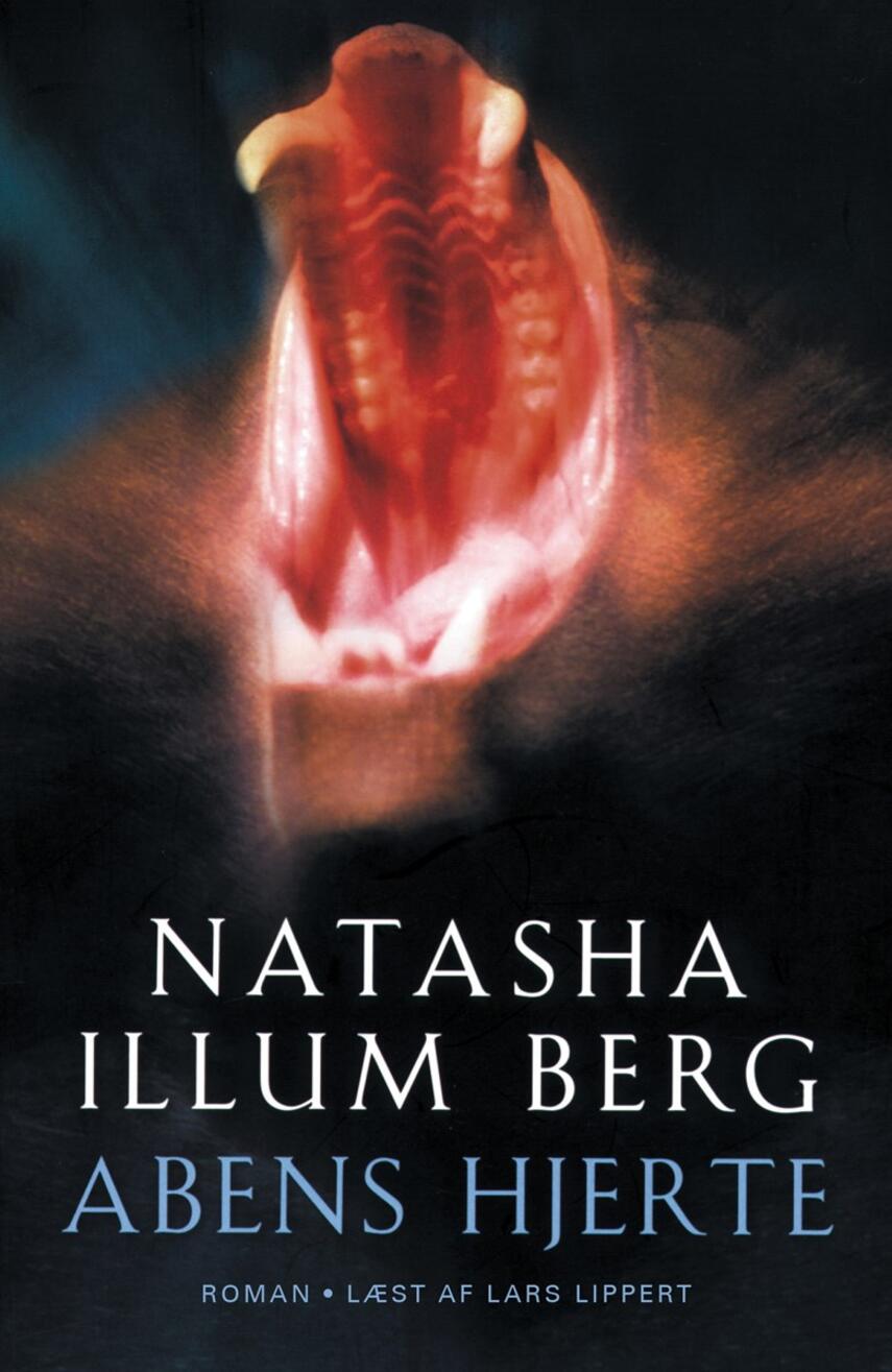 Natasha Illum Berg: Abens hjerte : roman