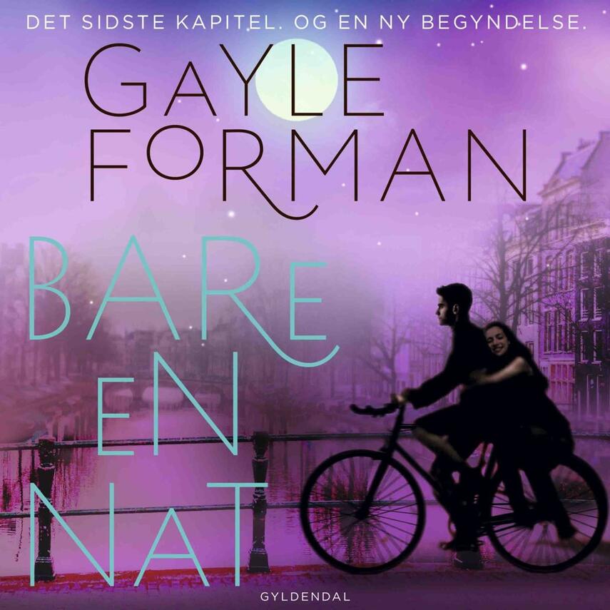 Gayle Forman: Bare en nat