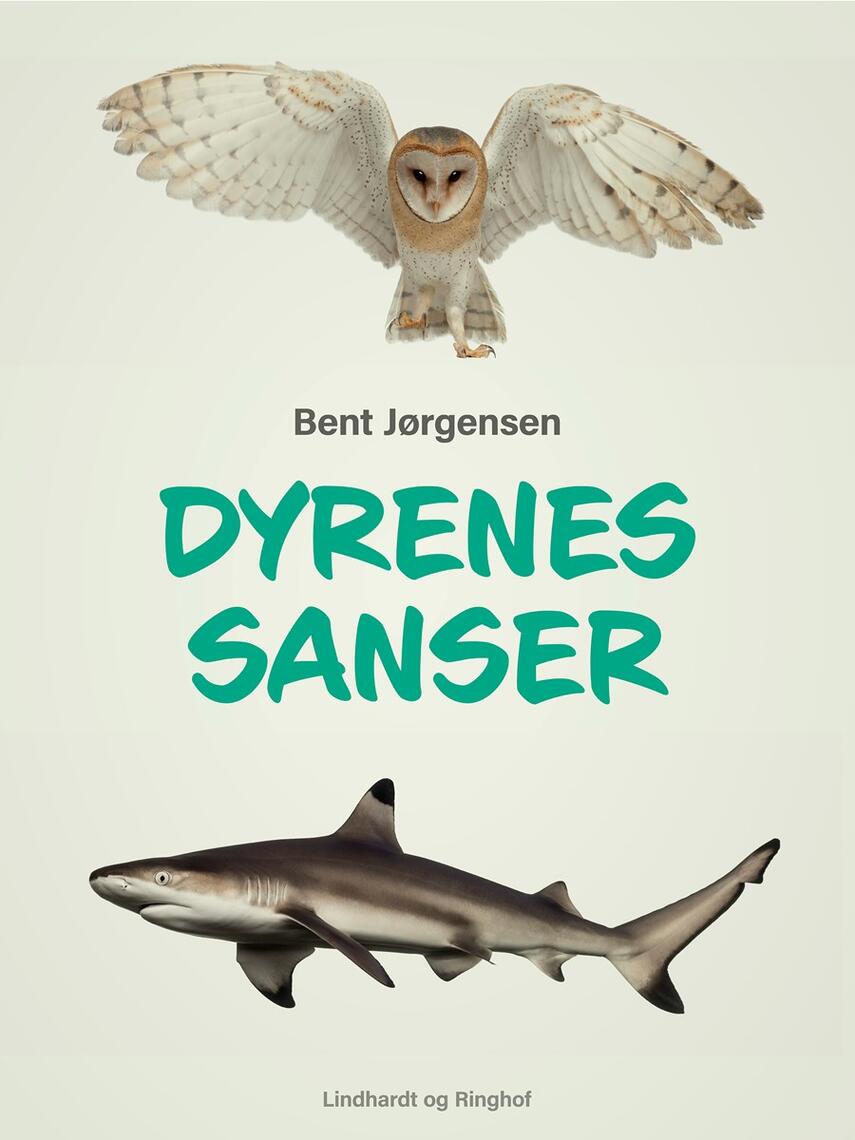 : Dyrenes sanser