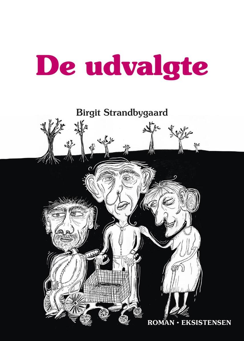 Birgit Strandbygaard: De udvalgte : roman