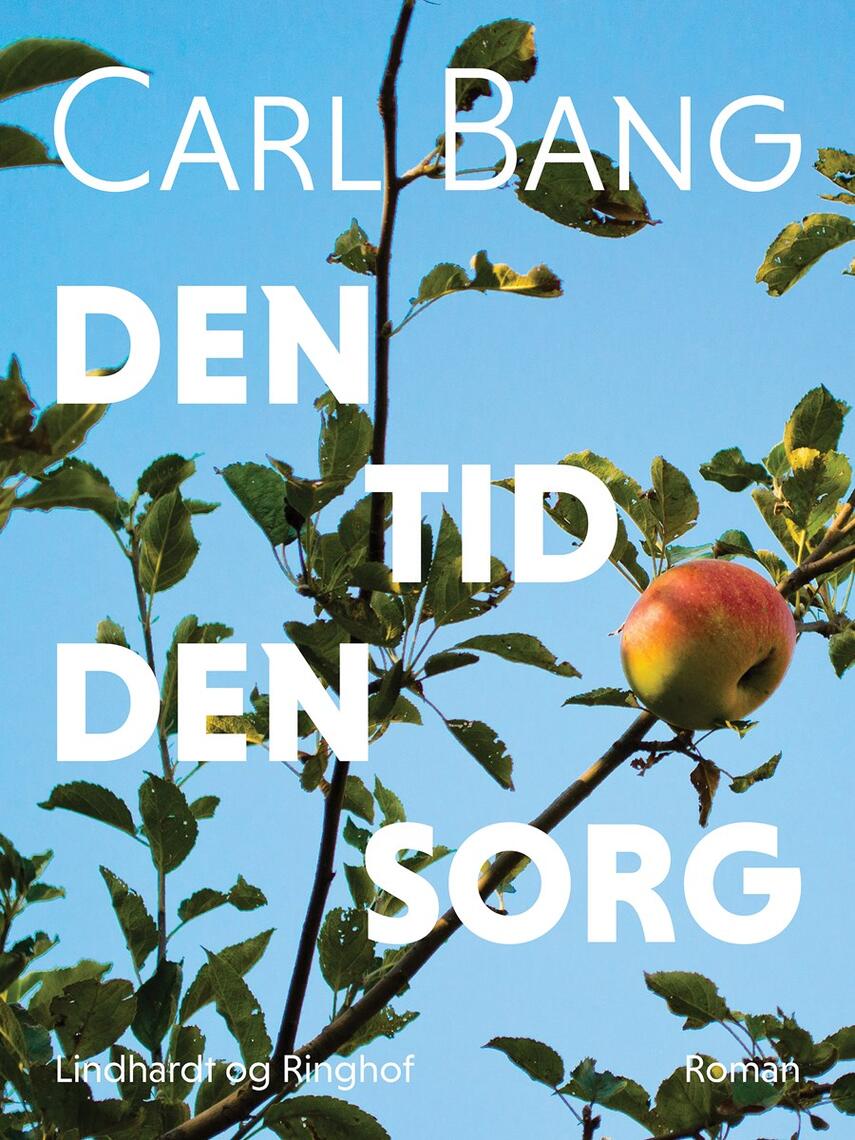 Carl Bang: Den tid den sorg