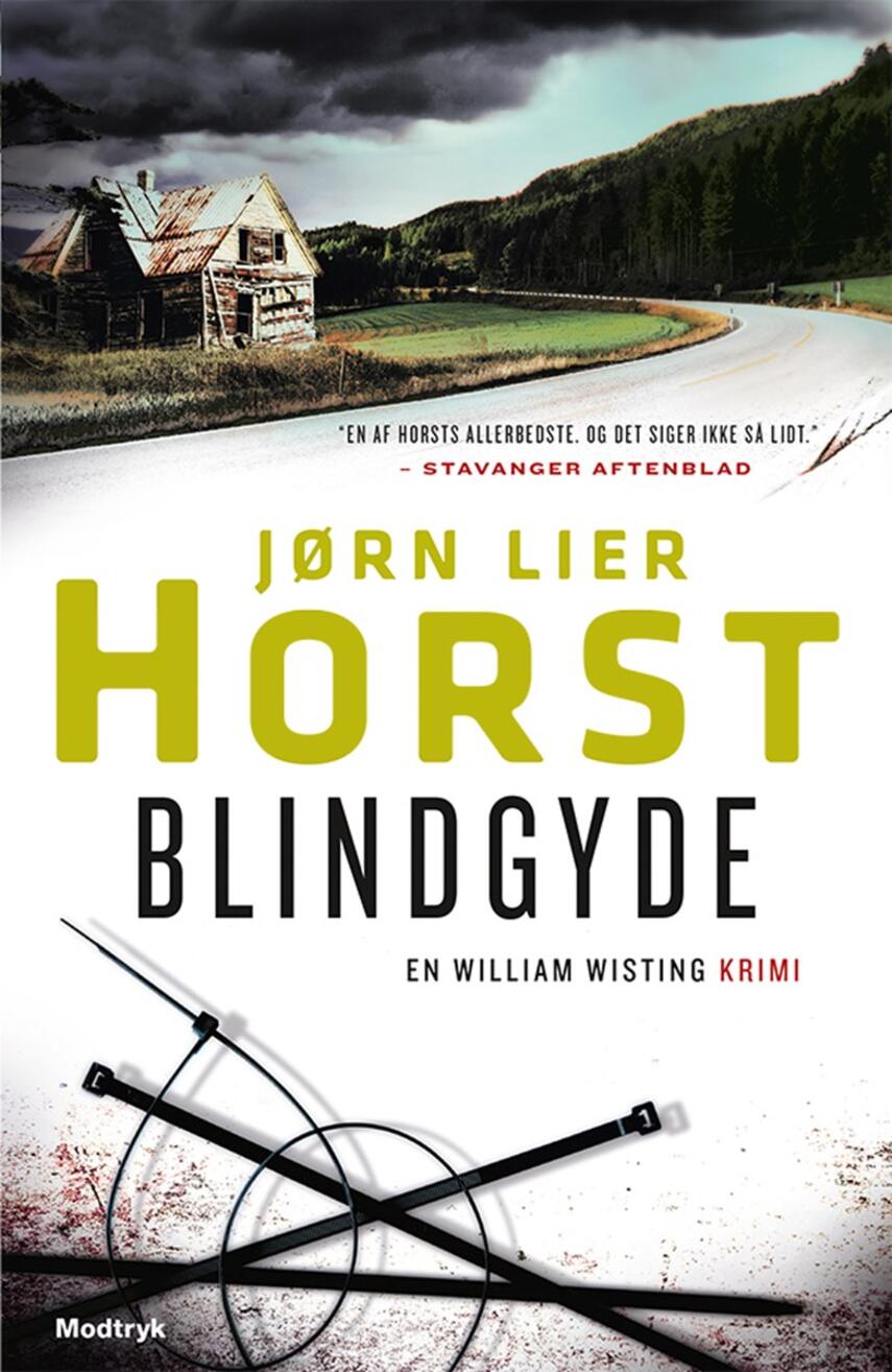 Jørn Lier Horst: Blindgyde