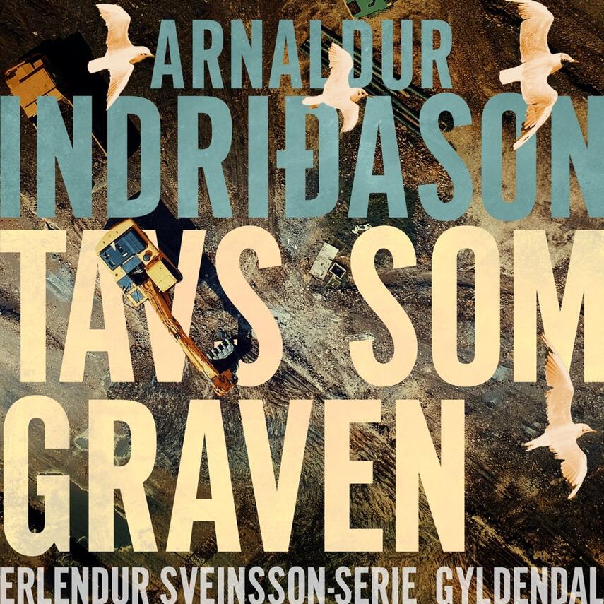 Arnaldur Indriðason: Tavs som graven