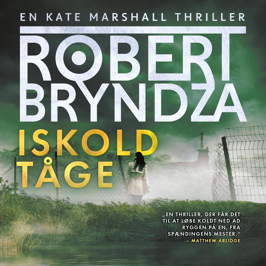 Robert Bryndza: Iskold tåge