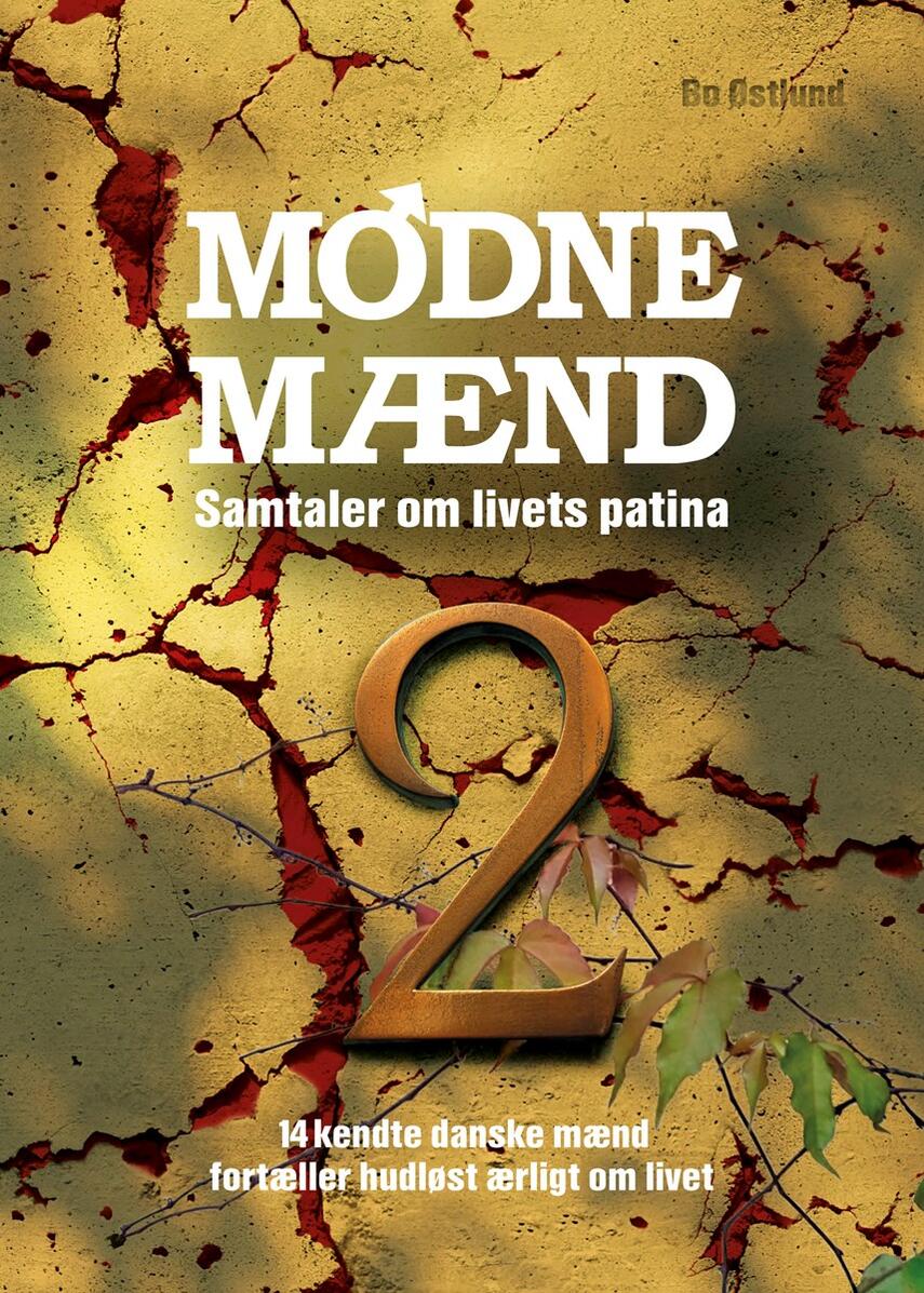 Bo Østlund: Modne mænd 2 : samtaler om livets patina : 14 kendte danske mænd fortæller hudløst ærligt om livet